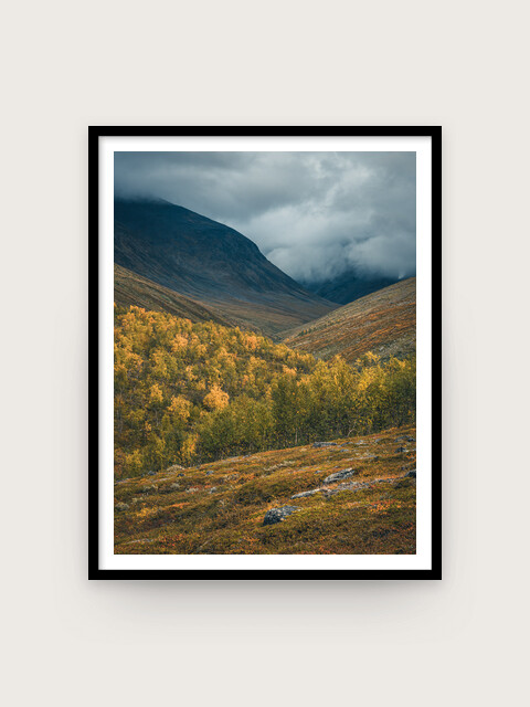 Print: Abisko