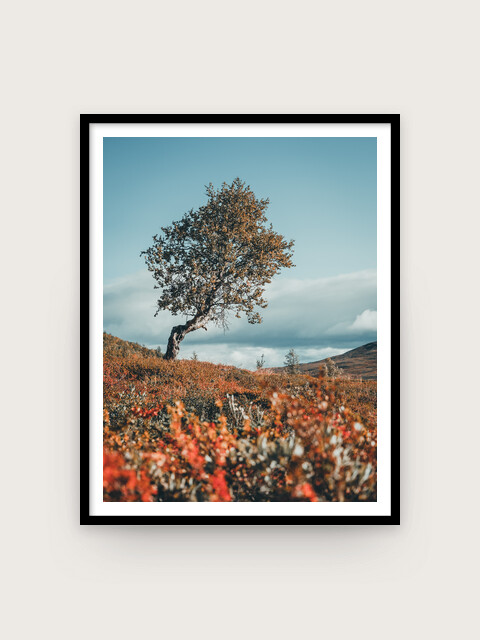 Print: Höstglöd