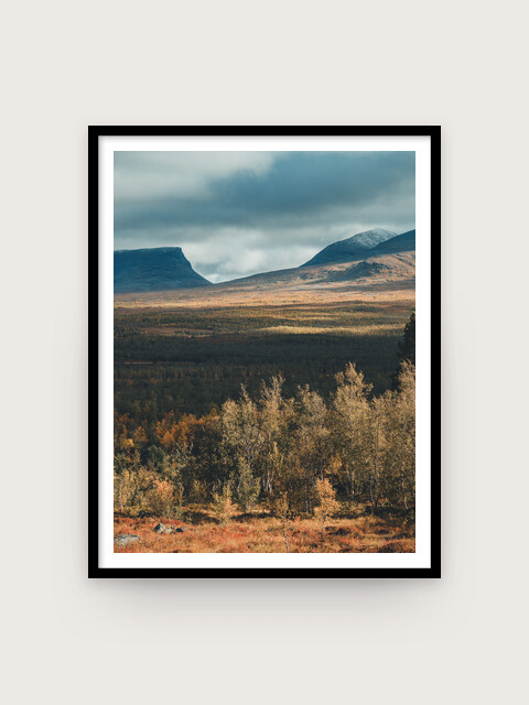 Print: Lapporten