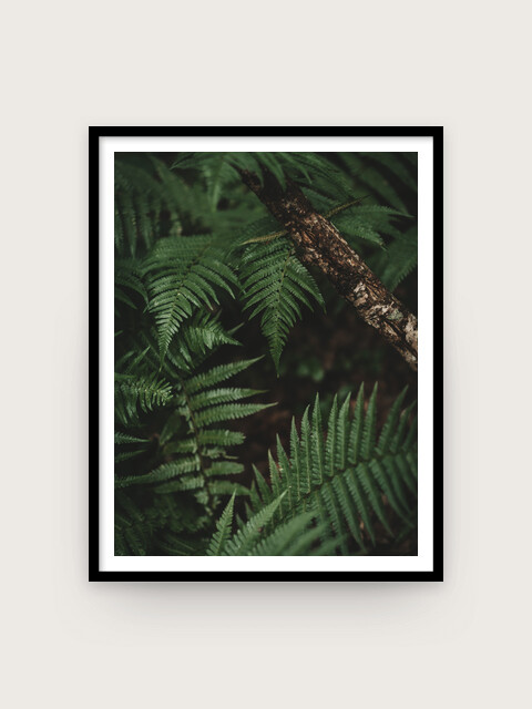 Print: Sommarregn #2
