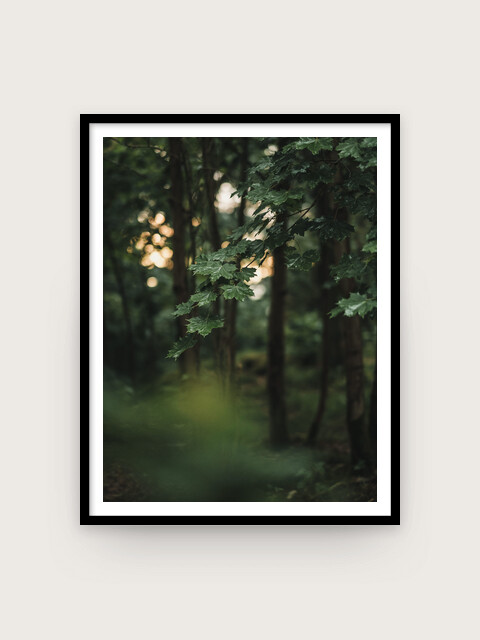 Print: Sommarregn #3