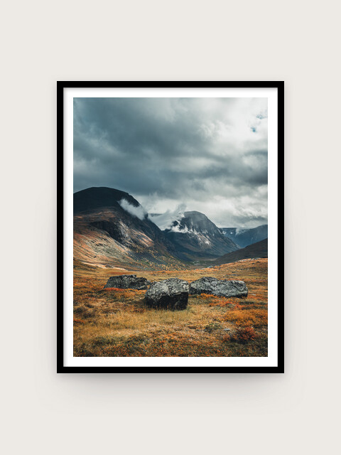 Print: Vistasvagge