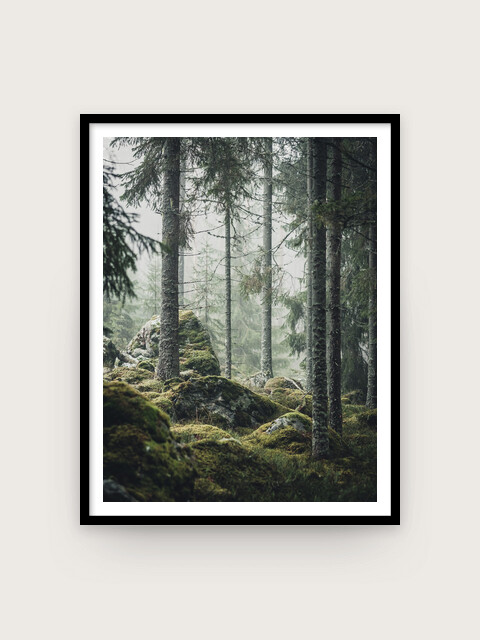 Print: Trollskogen