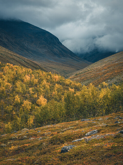 Print: Abisko