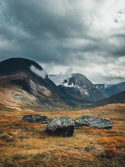 Print: Vistasvagge